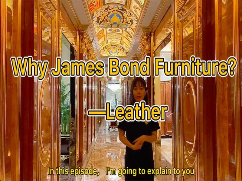 Why James Bond furniture? About the leather
